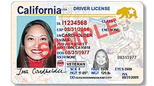 2 Forms of ID & Paperwork